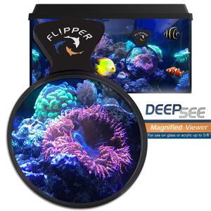 lupa flipper deepsee