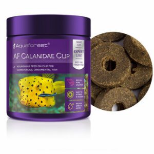 calanidae clip aquaforest