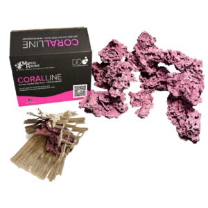 Coralline Natural Ancient Reef Rock - D-D