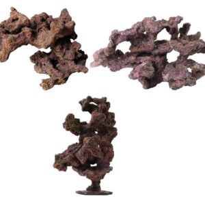 Roca EcoReef (Modelo desde 01 hasta 08) - TMC