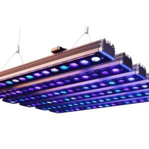 OR4 Blue Plus (60-90-120-150) - Orphek